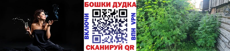 кракен зеркало  Новопавловск  Марихуана Ganja 